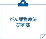 がん薬物医療研究部