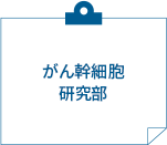 がん幹細胞研究部