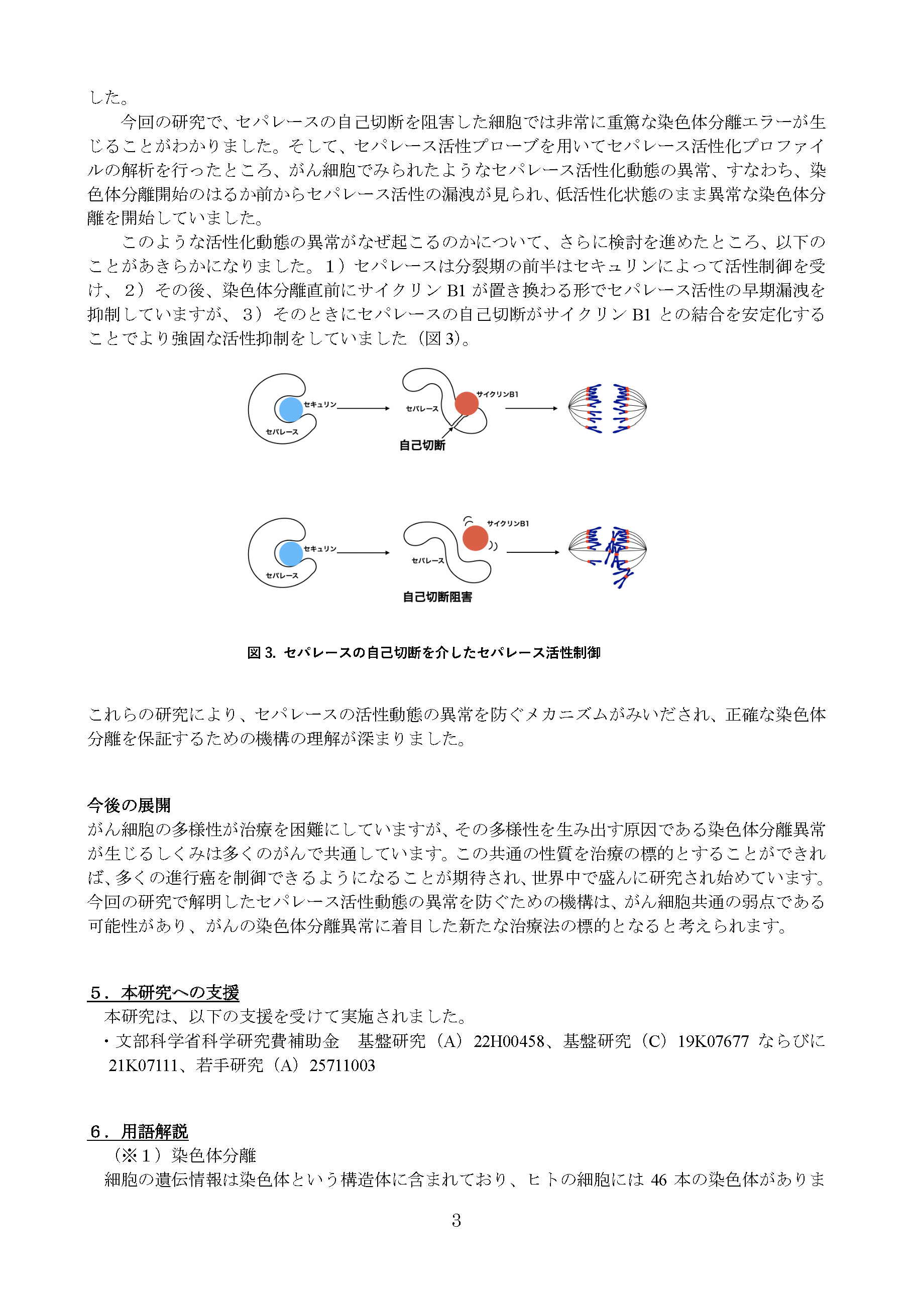 プレスリリース記事3ページ目