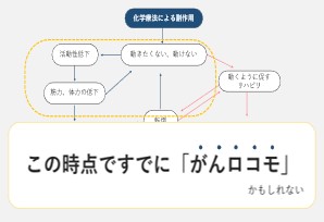 カンファ風景