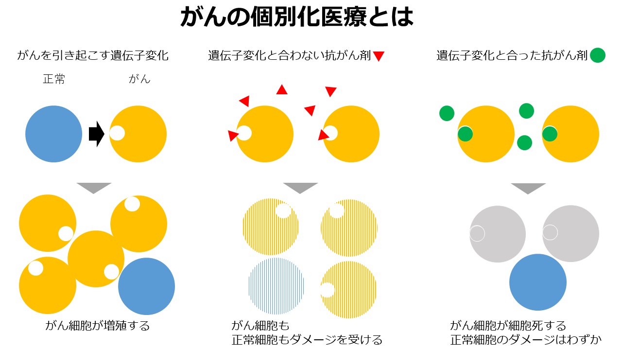 がん個別化医療の模式図