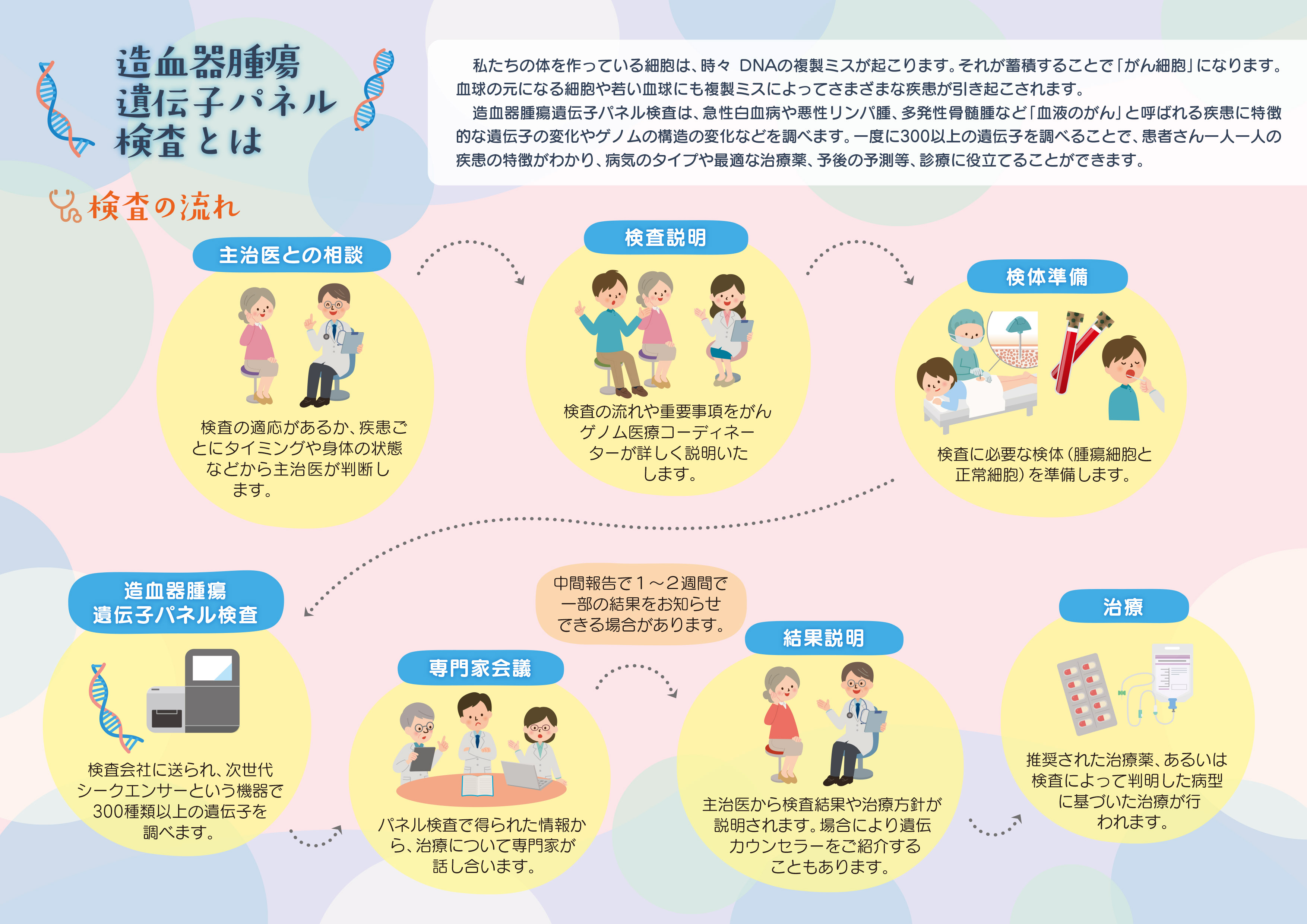 造血器パネル患者パンフレット