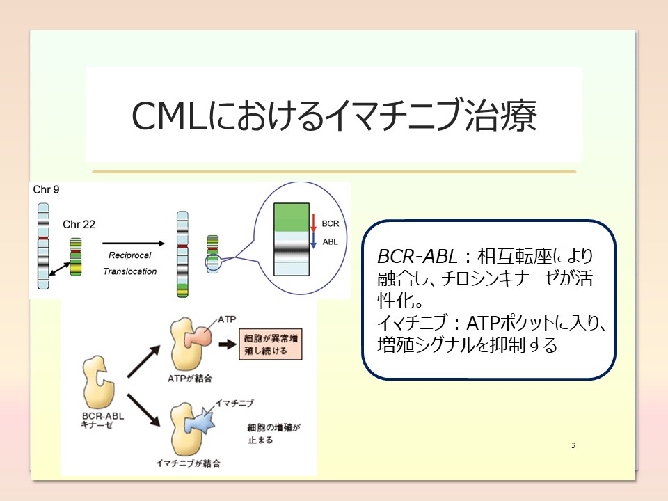 CMLにおけるイマチニブ治療